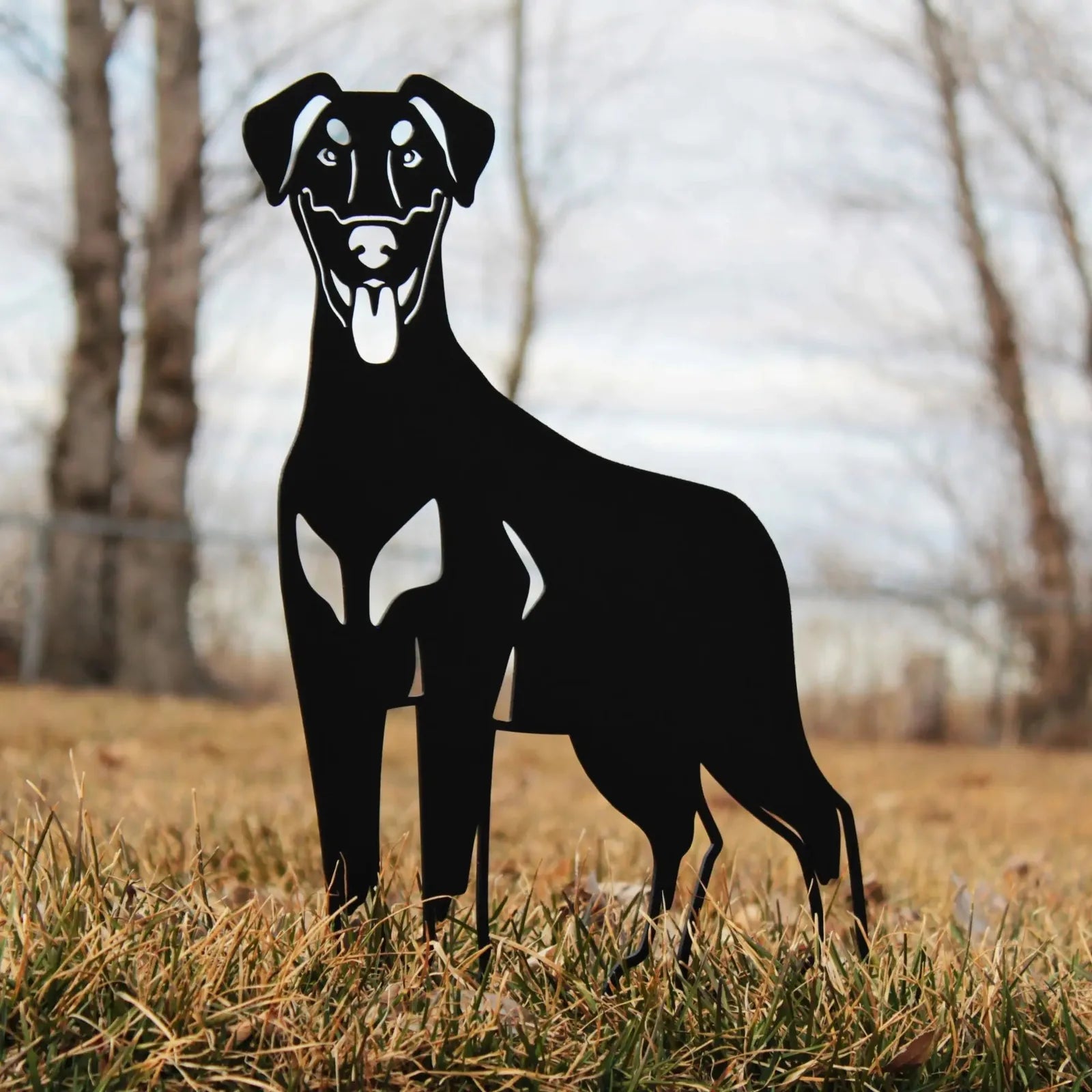 Black metal silhouette of a Doberman Pinscher standing in grass, showcasing natural ear design against a blurred outdoor b...