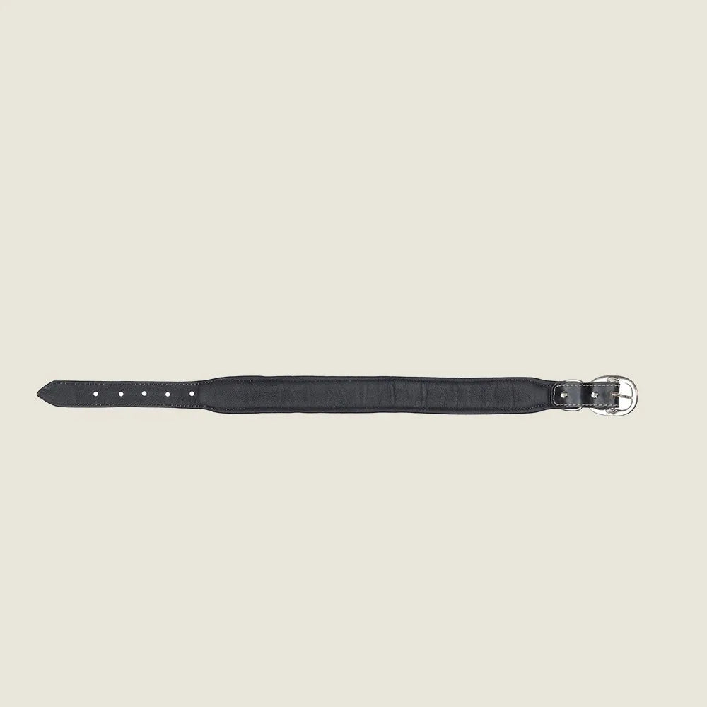 Handcrafted black leather dog collar with silver buckle, showing multiple sizing holes for adjustability.