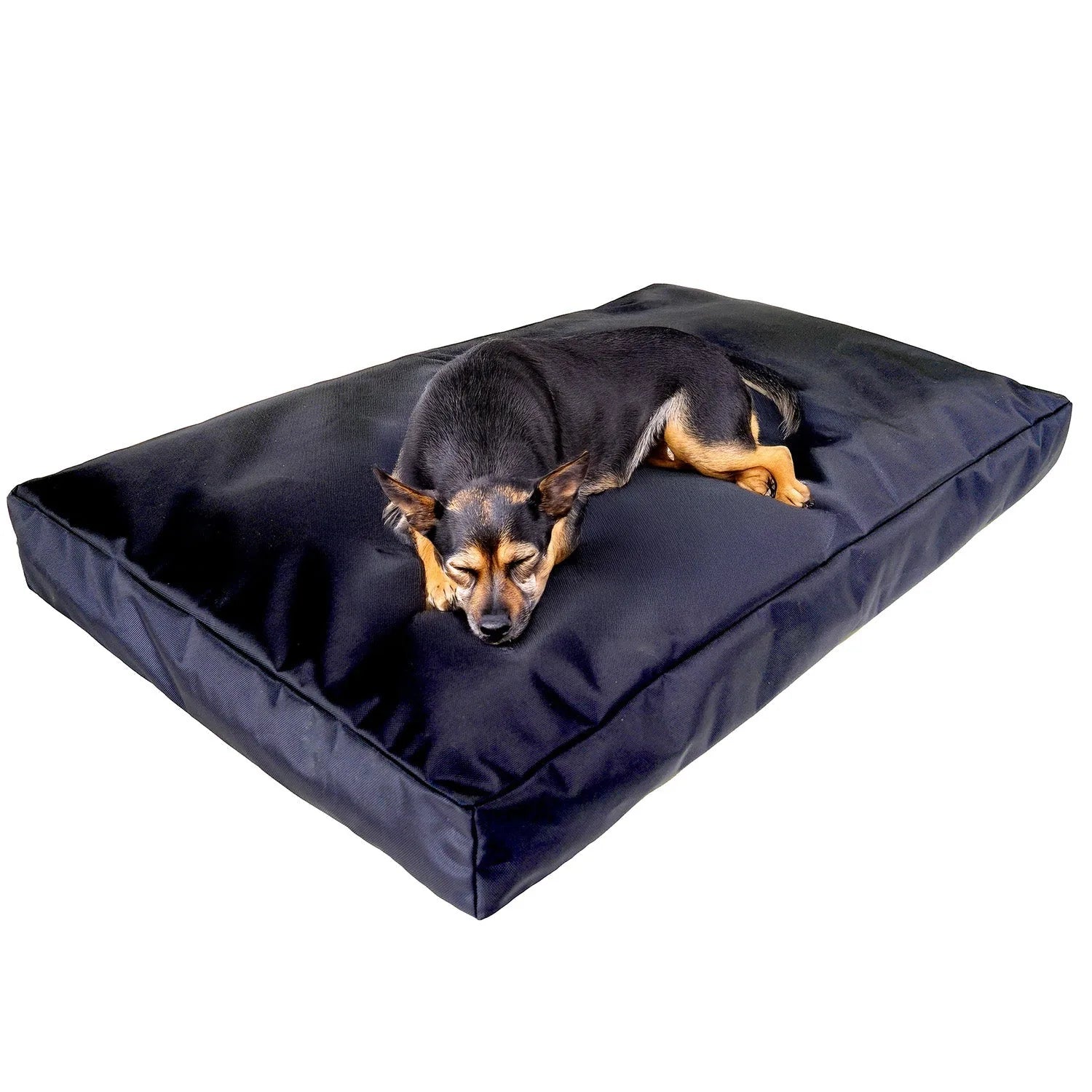 Durable black orthopedic dog bed with a small dog comfortably resting on top, featuring a rugged design for stability.