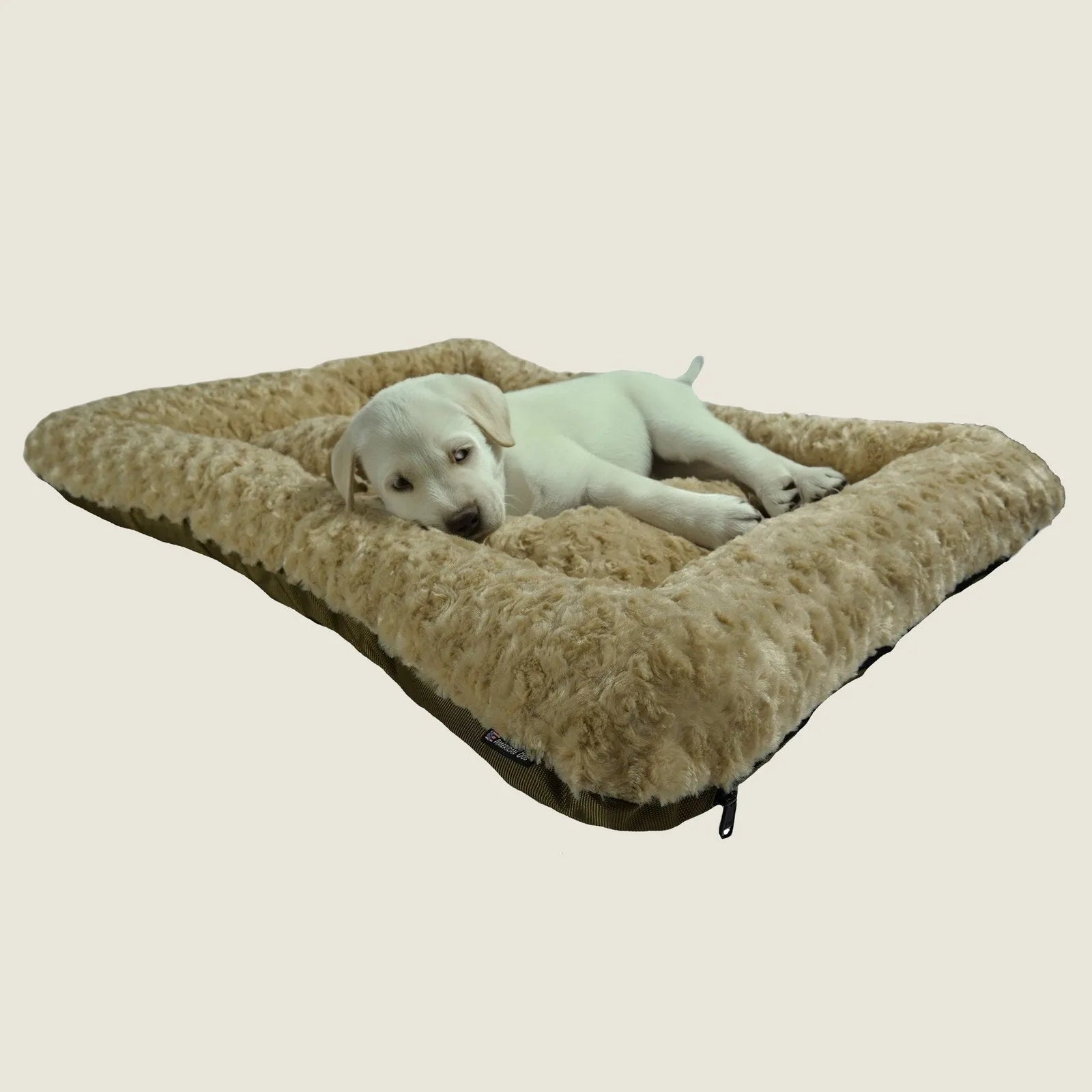 Soft beige bolstered dog bed with a fluffy interior and a white puppy resting comfortably on it.