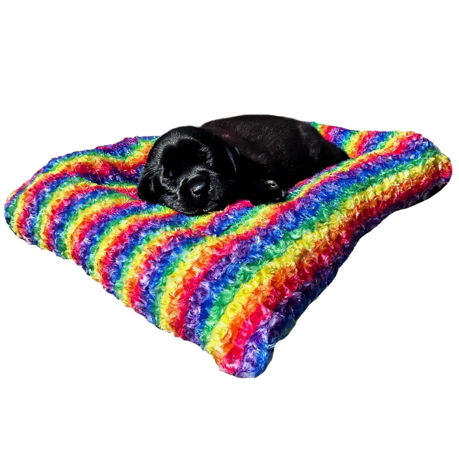 Cozy black dog napping on a vibrant rainbow-patterned Furvana™ dog bed with curly texture.