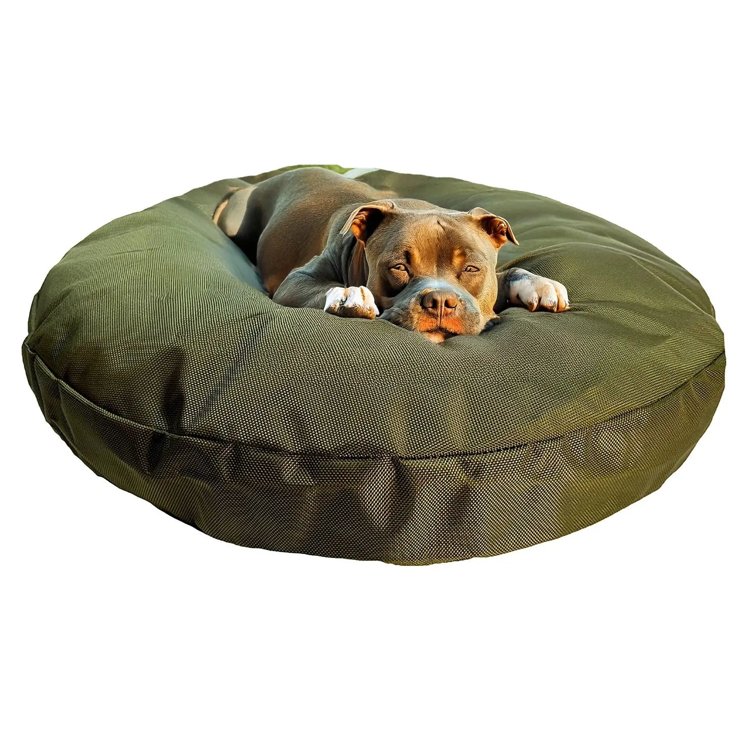 Orthopedic round dog bed in olive green with a durable nylon cover and a relaxed dog resting comfortably on it.