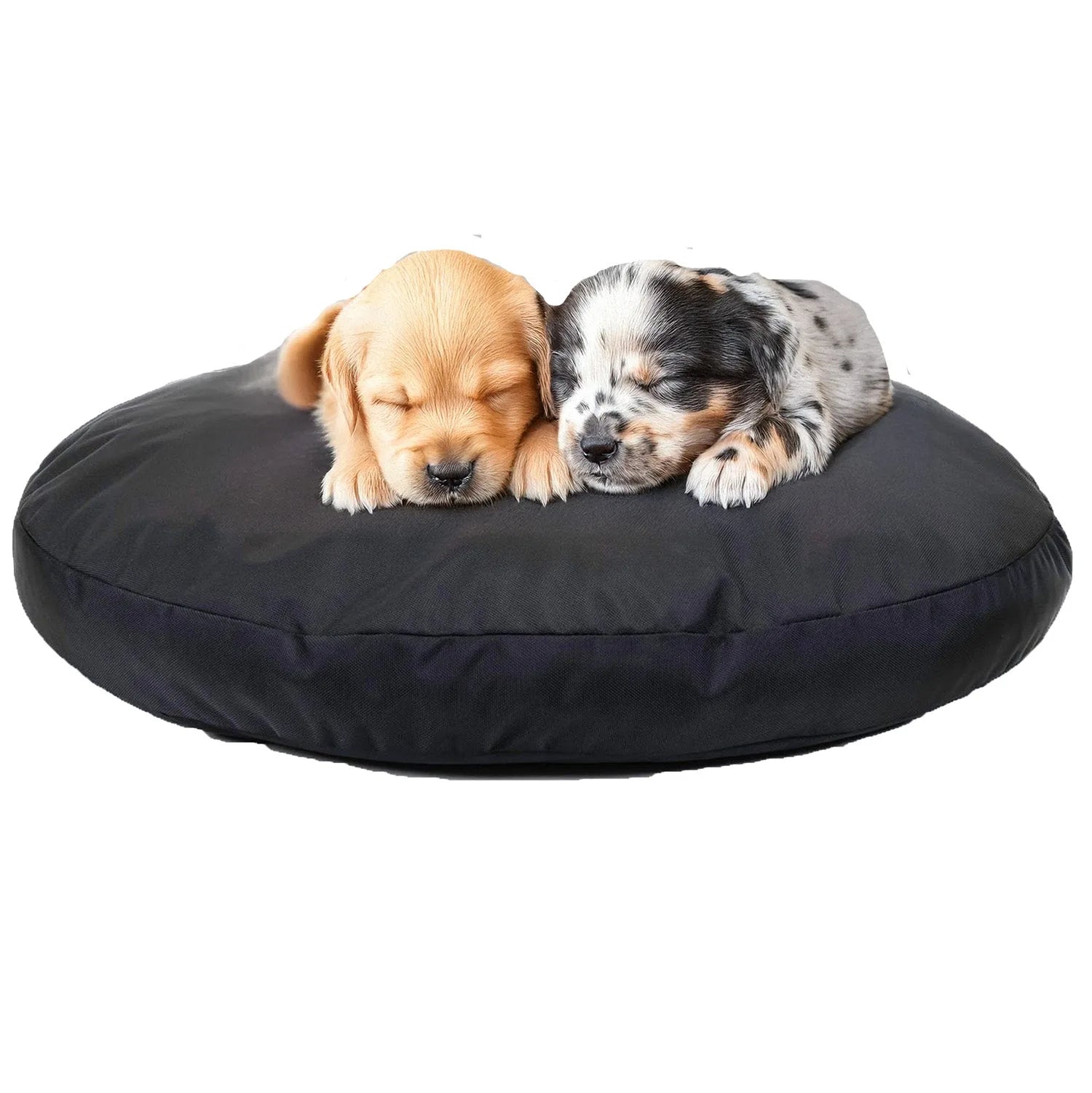 Two puppies sleeping peacefully on a round black dog bed, showcasing durability and comfort for dogs.