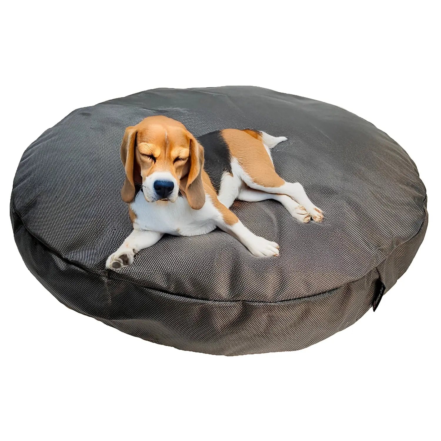 Beagle resting on a round, dark gray dog bed made of durable fabric, showcasing comfort and orthopedic support.