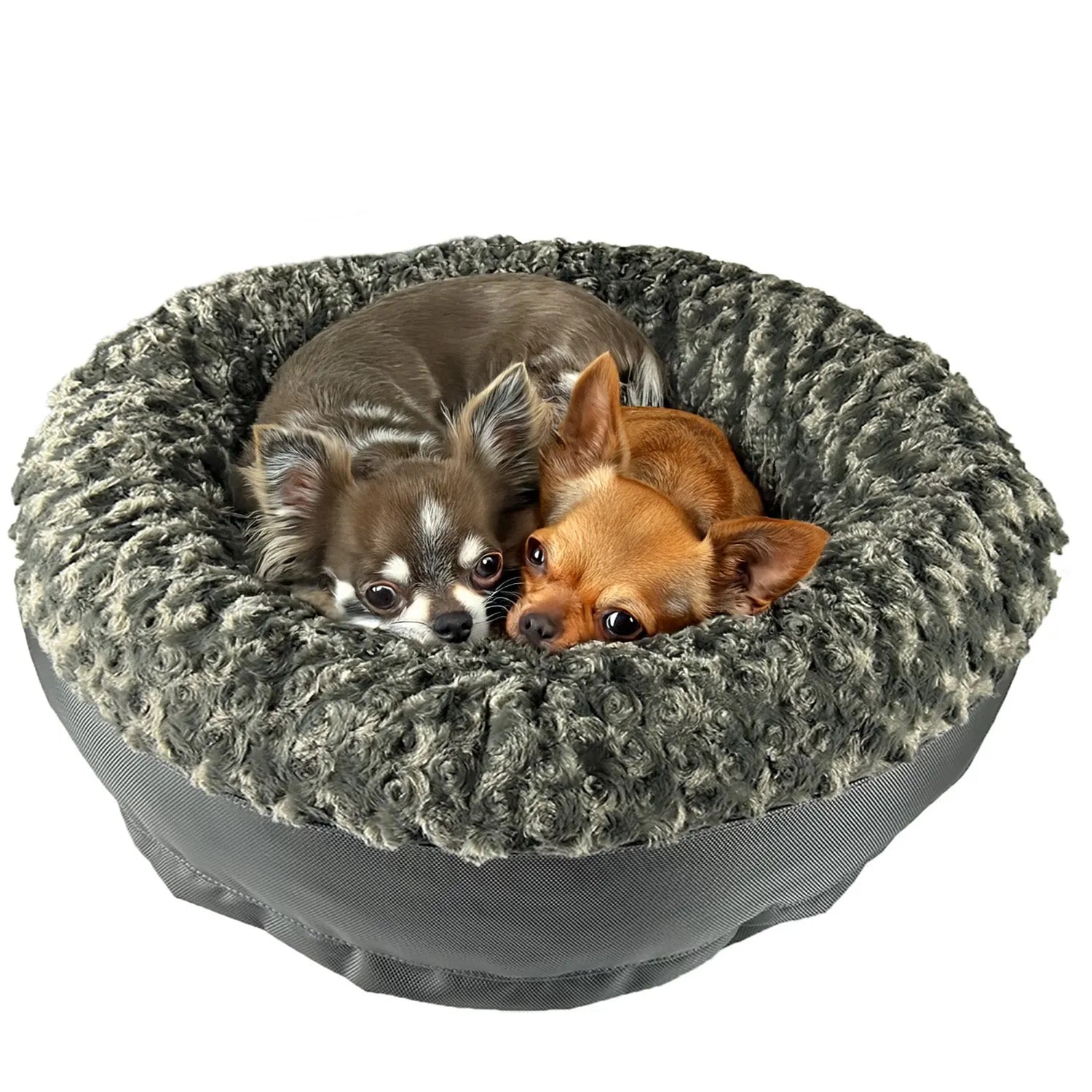 Cozy round bolstered dog bed in gray with two Chihuahuas snuggling together on the soft, plush surface.