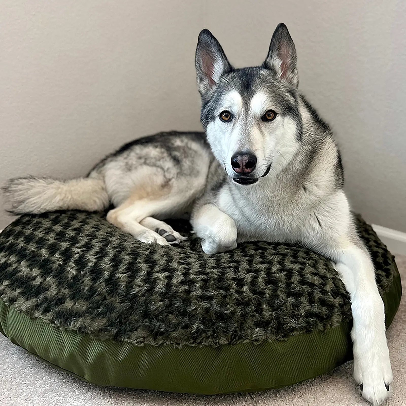 Round Furvana Dog Bed in olive with a textured fur top, supporting a relaxed dog. Perfect for comfort and style.