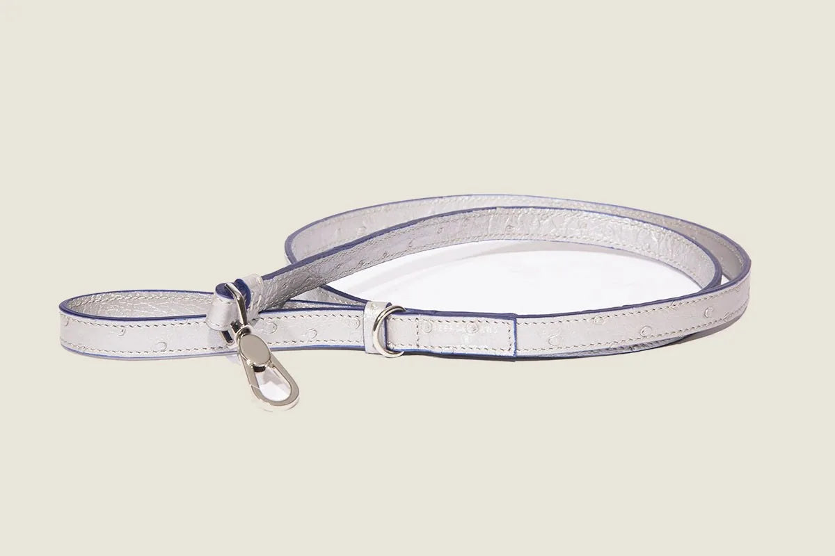Small metallic silver dog leash with ostrich finish and ultramarine trim, ideal for stylish walks with smaller breeds.