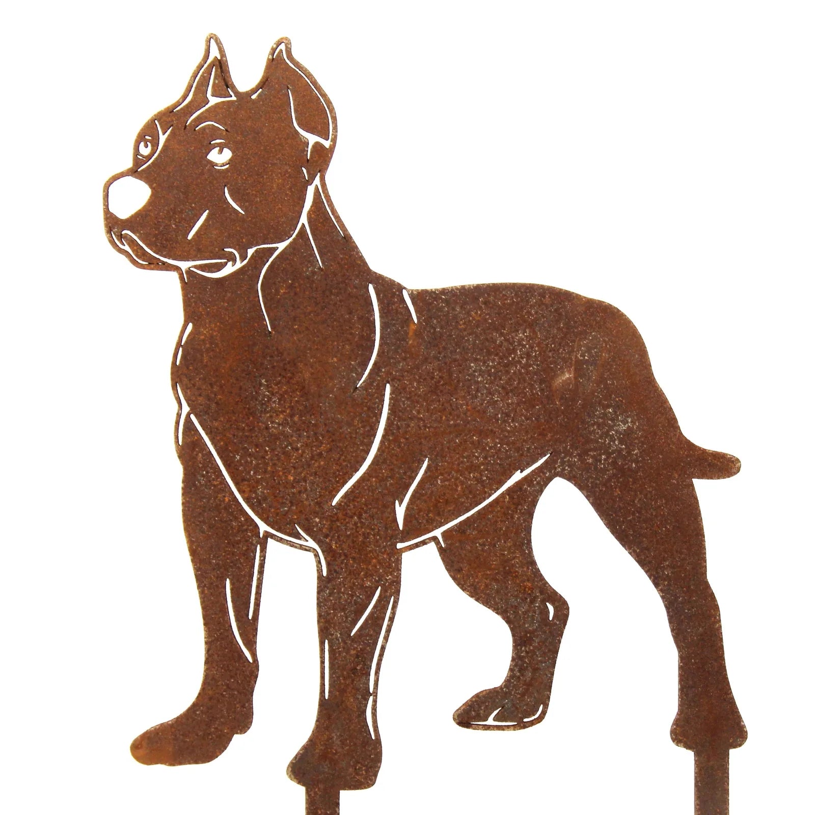 Rusty metal silhouette of a Dogo Argentino, showcasing its distinctive strong stance and features.