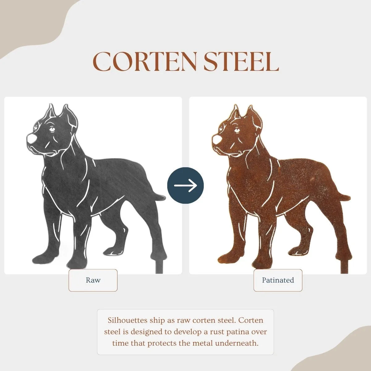 Dogo Argentino metal silhouette in matte black and rust patina finishes, showcasing the transformation of Corten steel.