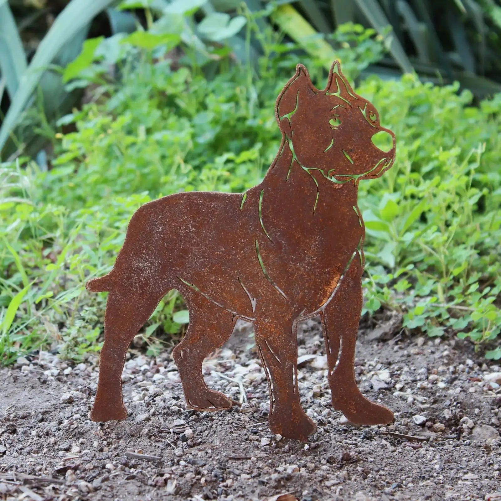 Rusty Dogo Argentino metal silhouette standing in gravel, surrounded by green grass, showcasing a handcrafted design.