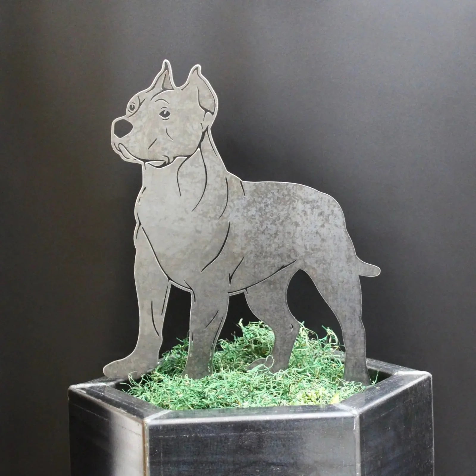 Dogo Argentino metal silhouette in weathered steel, standing on green moss inside a modern planter against a dark background.