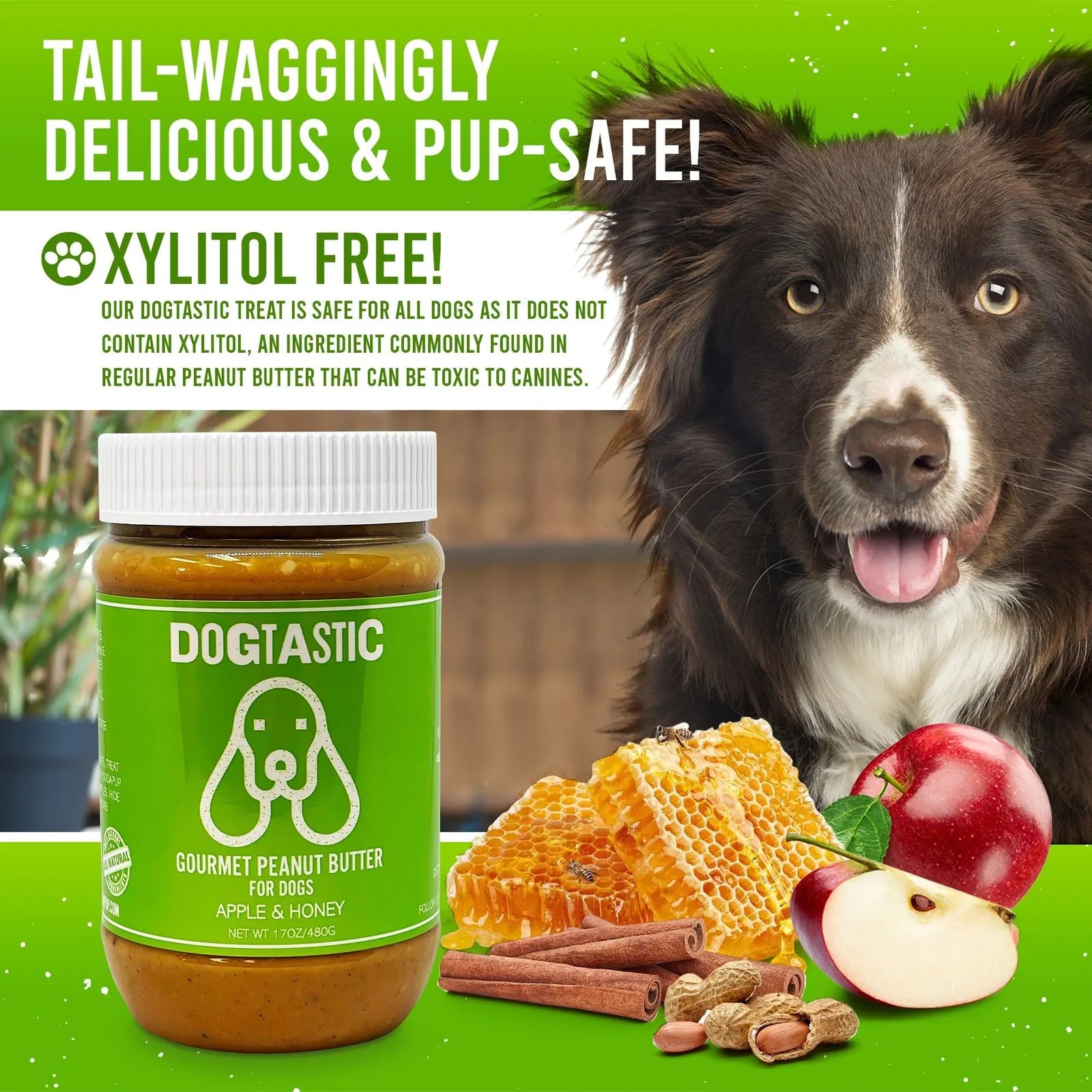 Creamy Dogtastic Gourmet Peanut Butter jar with green label, surrounded by honeycomb, apple slices, peanuts, and a happy dog.