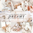 Dreamy Presets by Elise Galleria