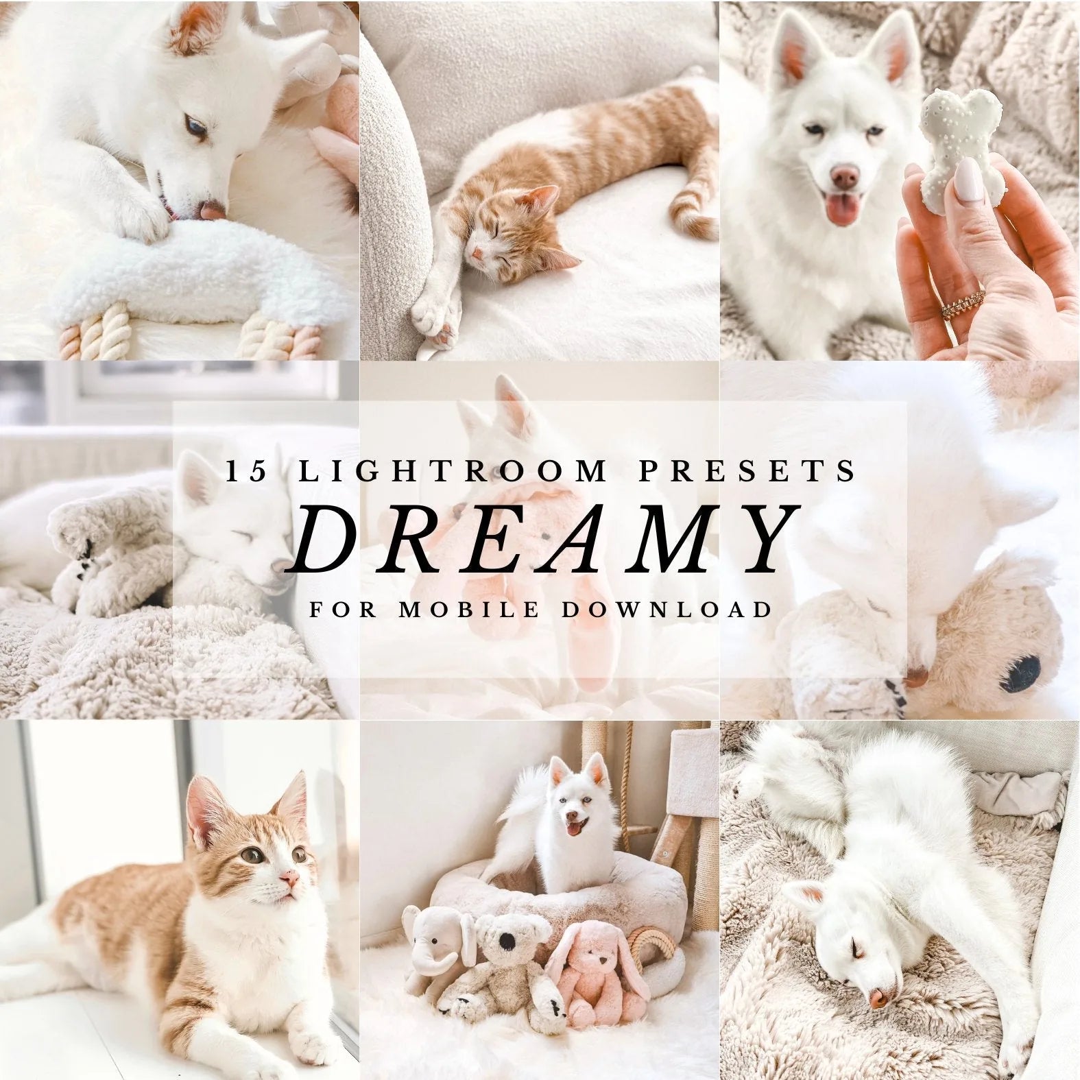 Cozy collage of dogs and cats on soft blankets, showcasing the dreamy aesthetic of Lightroom presets by Elise Galleria.