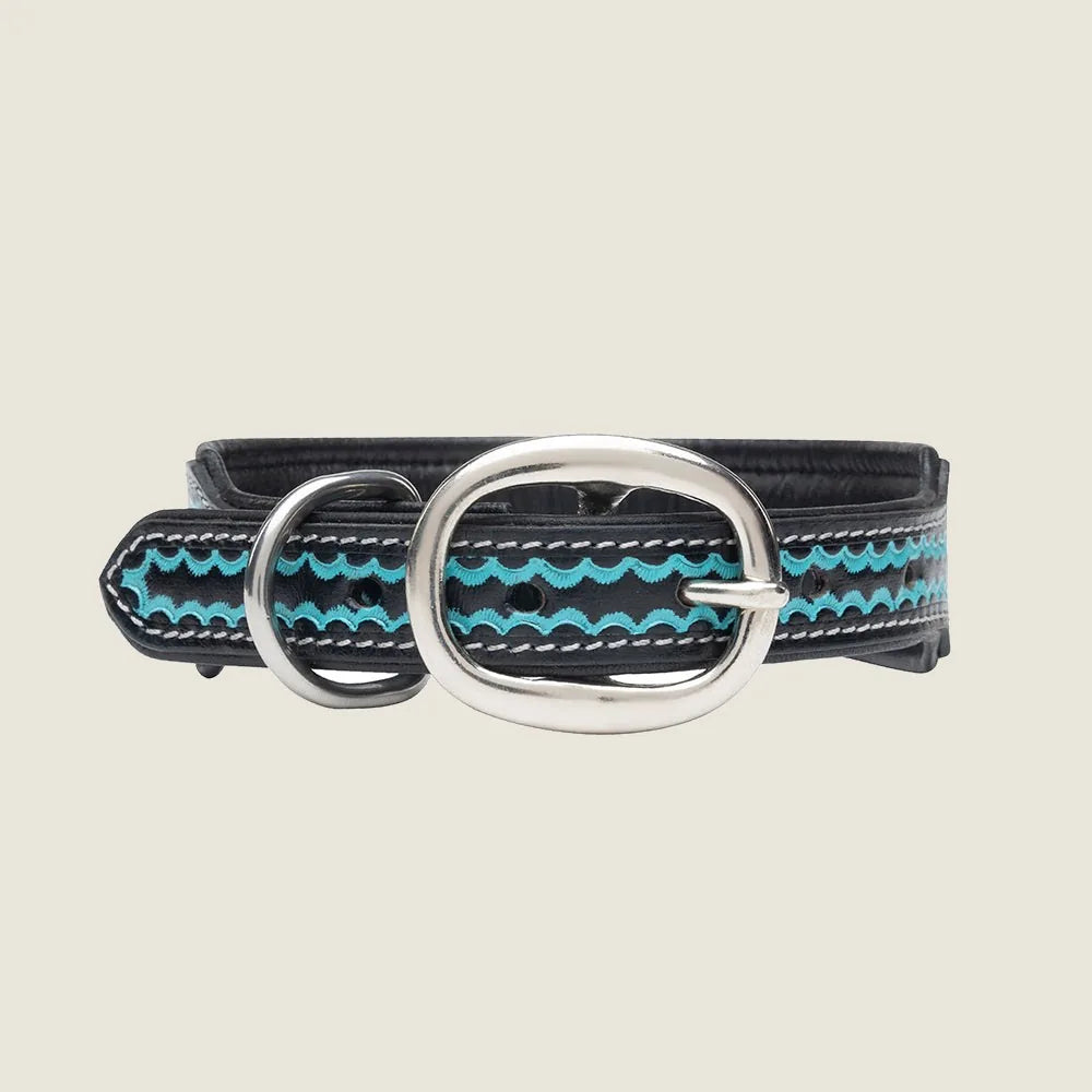 Durango Daisy hand-tooled leather dog collar featuring black and turquoise designs with silver iron hardware.