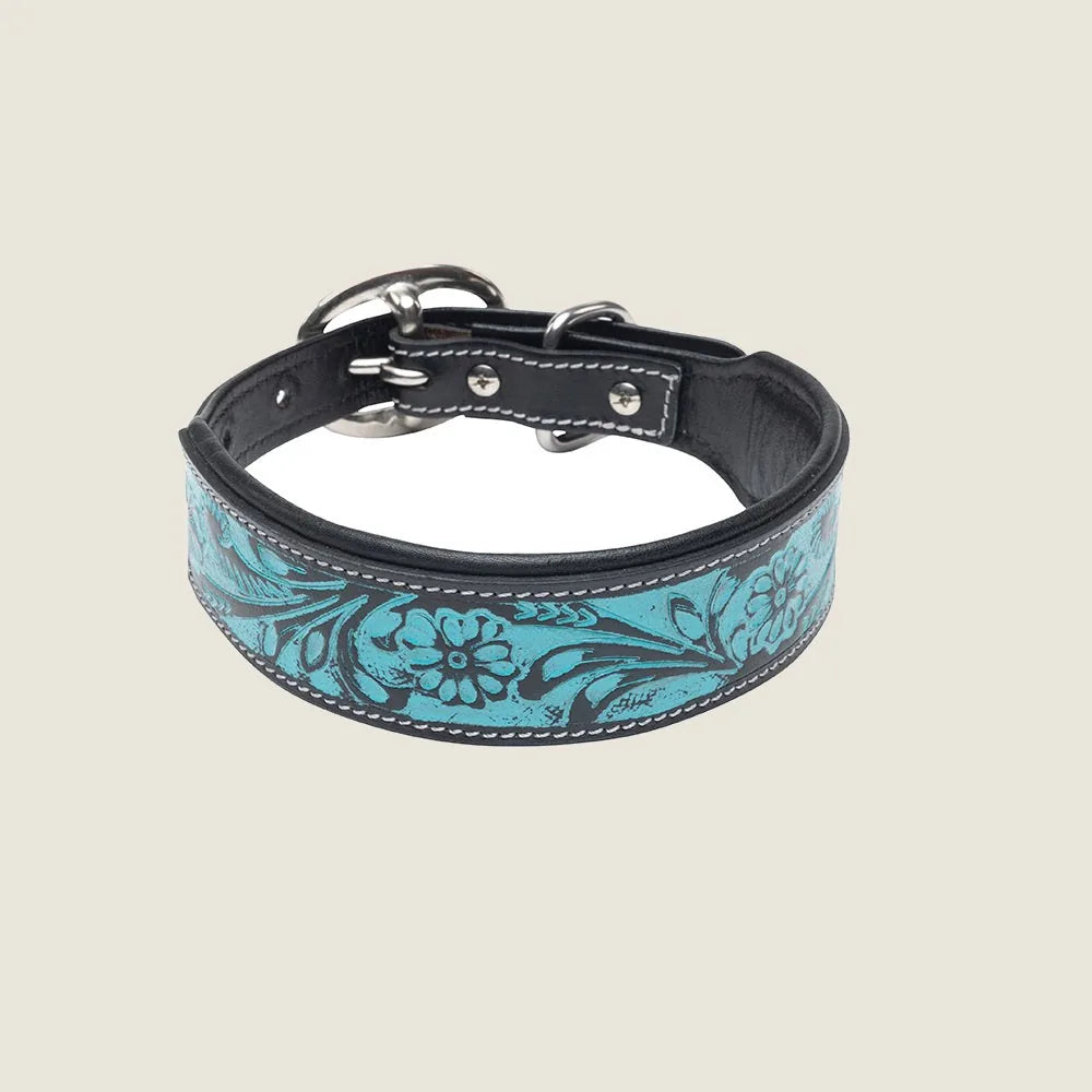 Durango Daisy hand-tooled dog collar featuring a vibrant turquoise floral design on sturdy black leather.