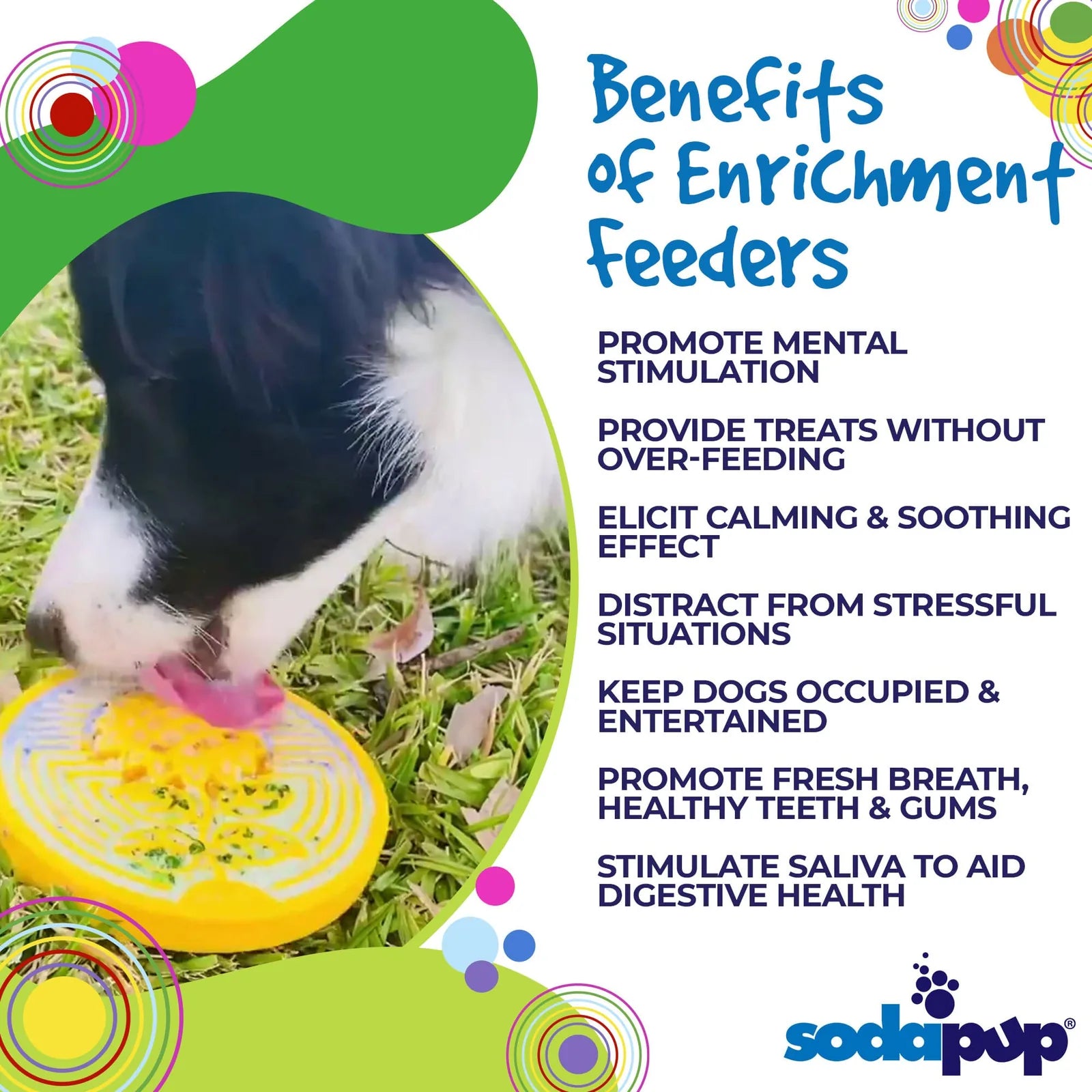 Black and white dog licking a yellow nylon lick mat with a sunflower design, set on green grass.