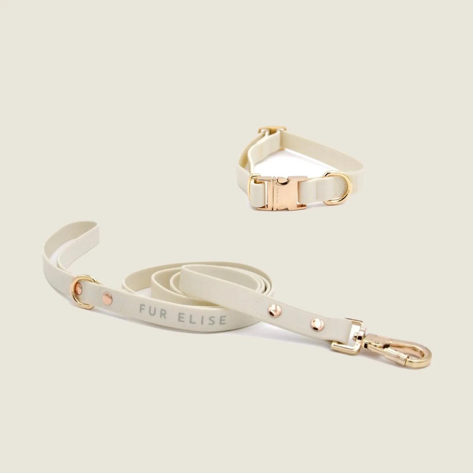 Bone-colored collar with gold buckle and matching leash featuring a clip, designed for daily dog walks.
