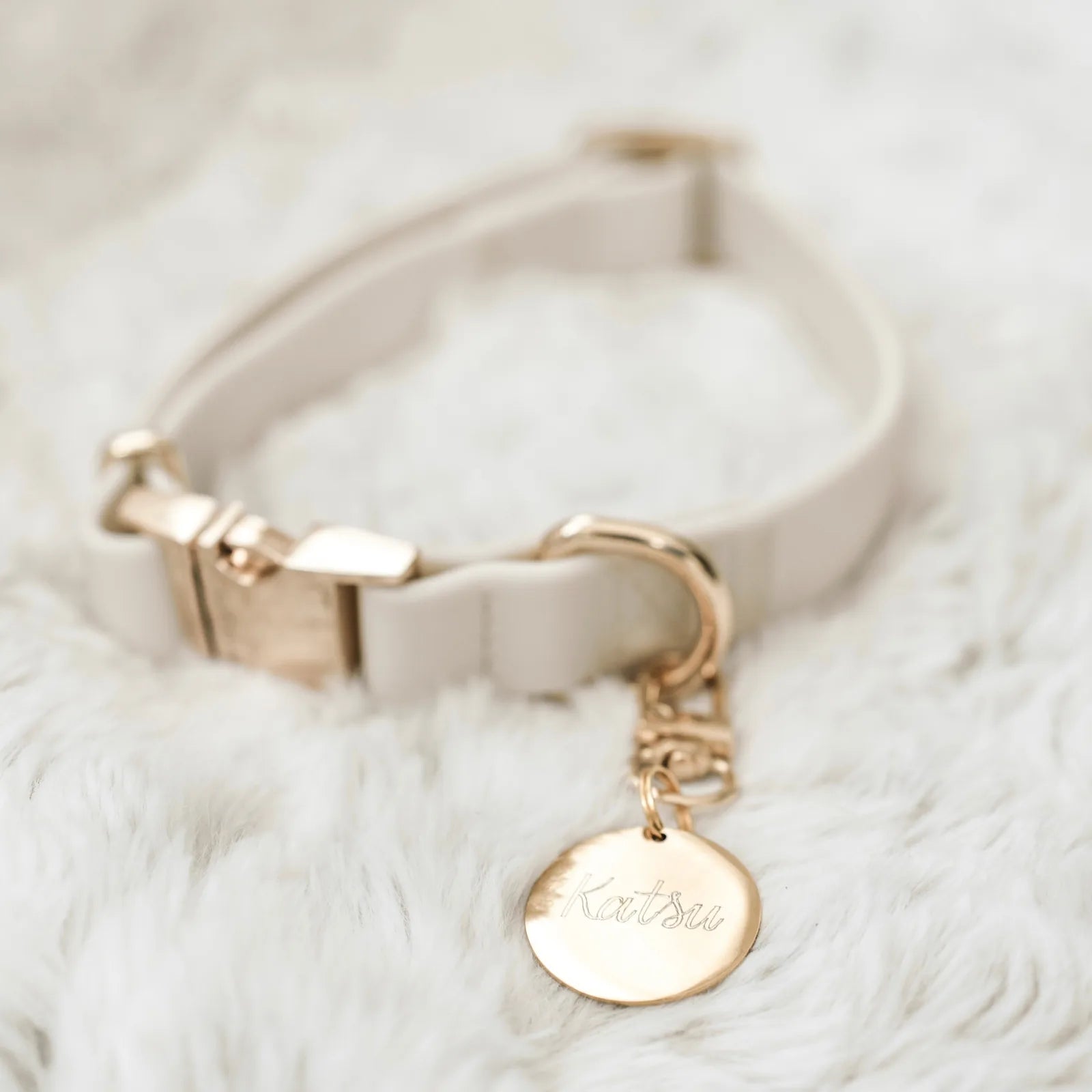 Bone-colored dog collar with a light gold buckle and personalized tag on a soft, fluffy surface.