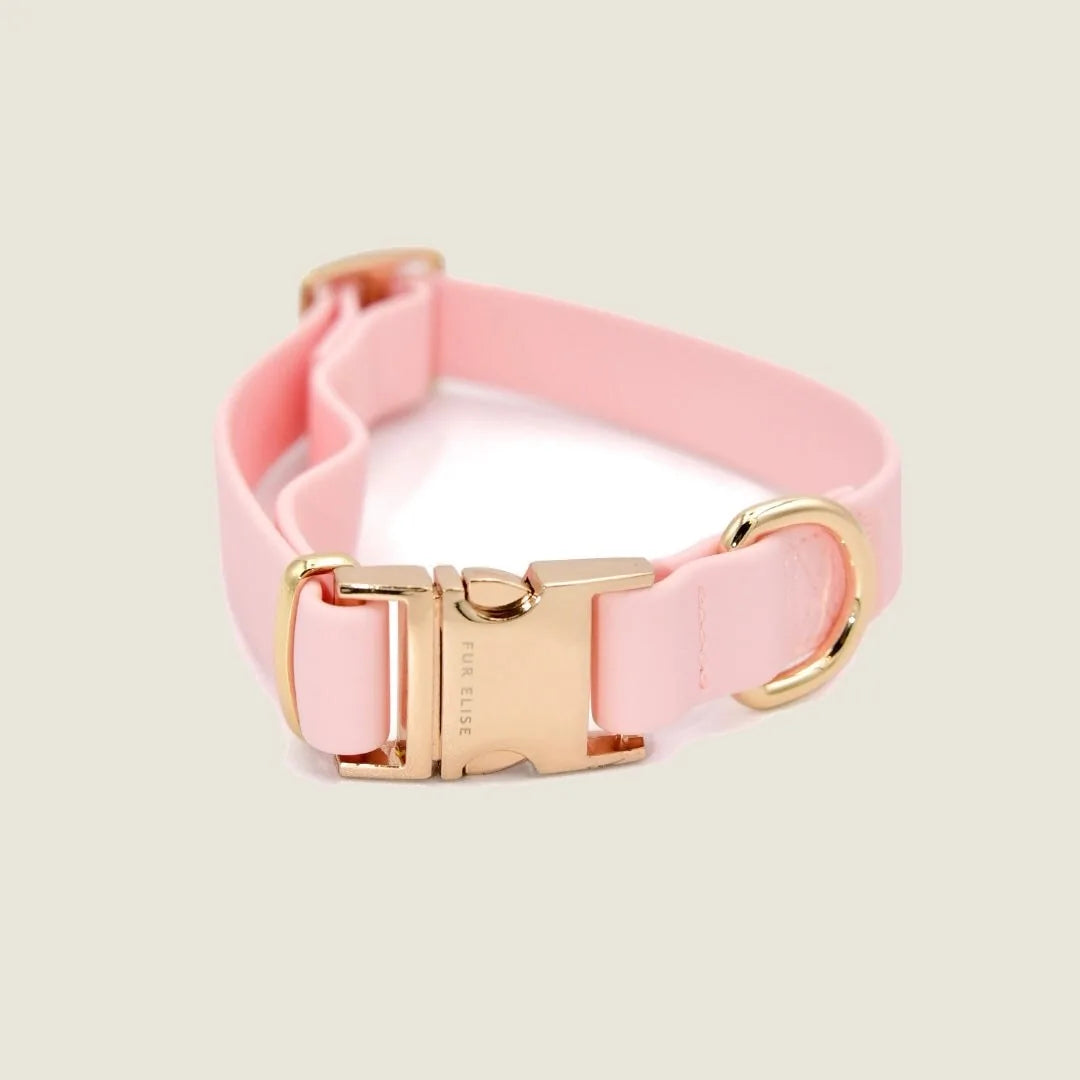 Elise Collar in Rose, featuring a soft rubbery texture and elegant gold hardware for a stylish, secure fit.