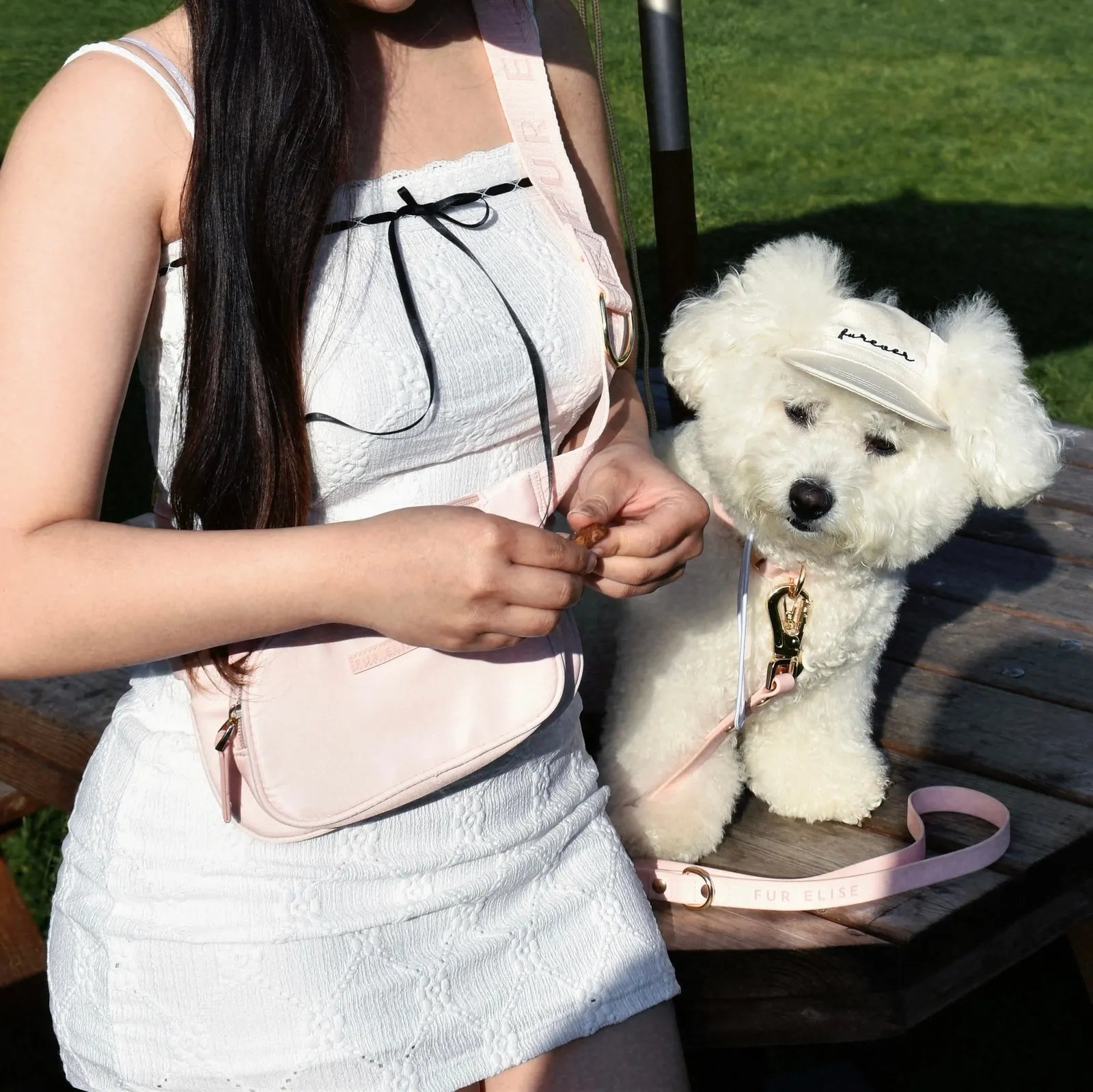 Elise Galleria's rose collar is worn by a fluffy white dog, paired with a pink satchel bag on a sunny outdoor setting.