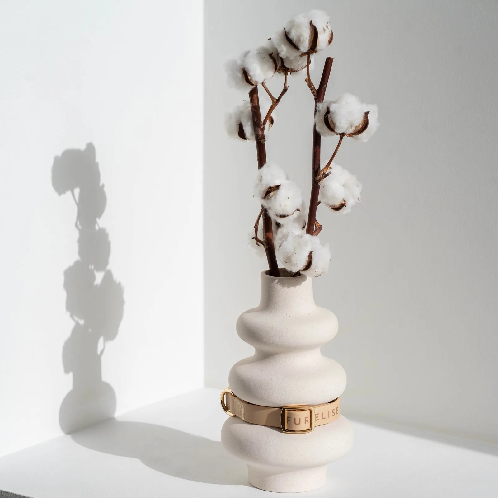 Elise collar in sand color displayed on a decorative vase with cotton branches, showcasing its gold buckle.