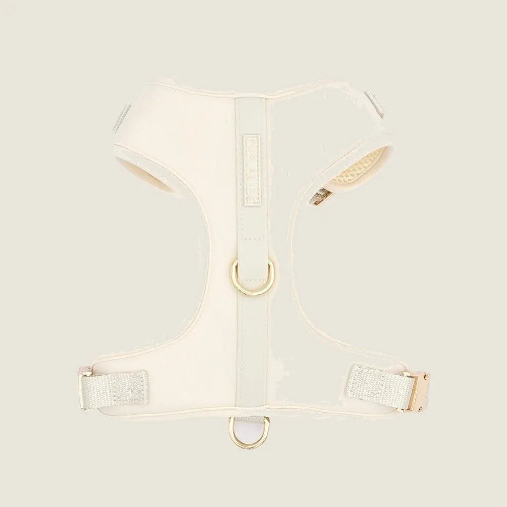 Elise Harness in bone color, made of soft neoprene with breathable mesh, features adjustable straps and dual D-rings.