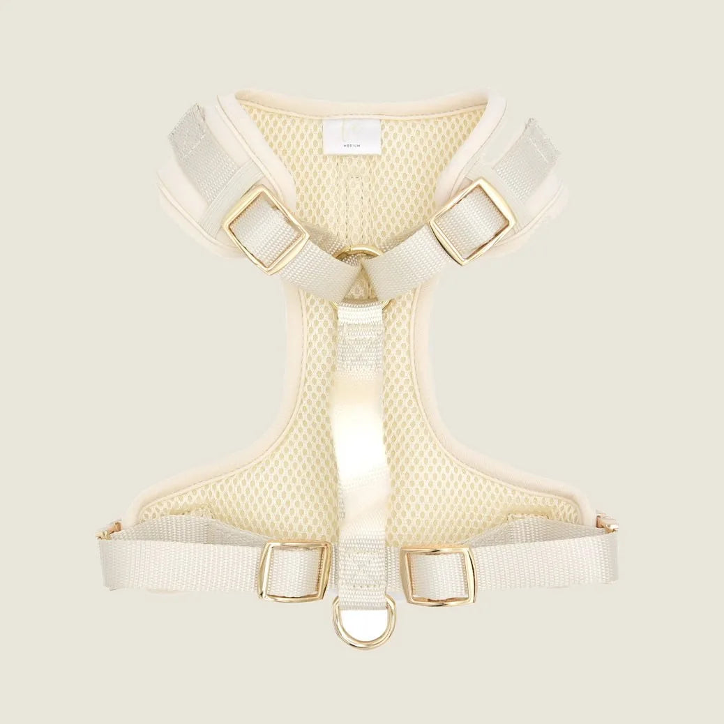 Elise Galleria Elise Harness in bone color, featuring soft neoprene and breathable mesh, with gold D-rings and adjustable...