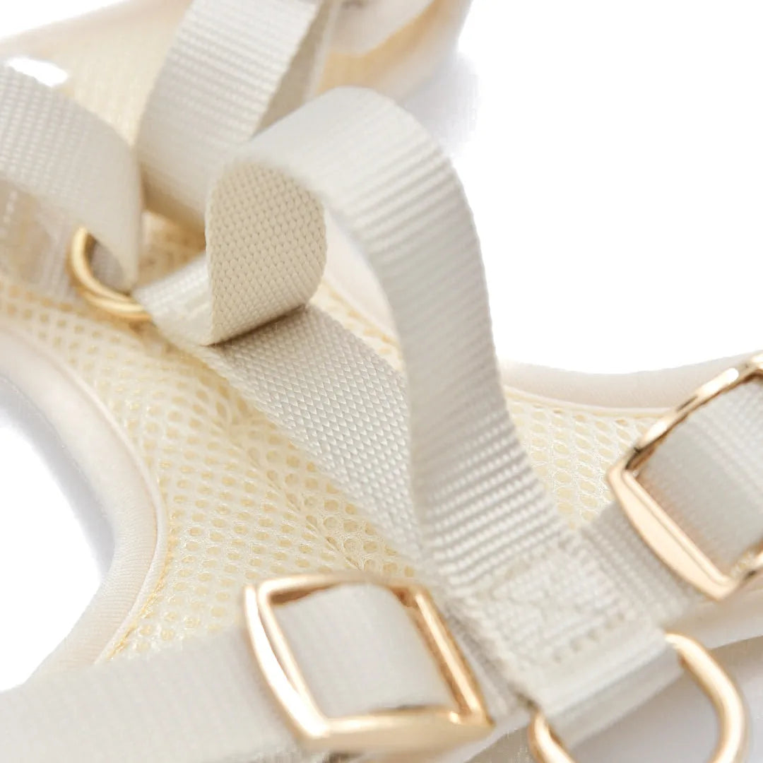 Light beige dog harness featuring a breathable mesh lining, gold buckles, and adjustable straps for a secure fit.