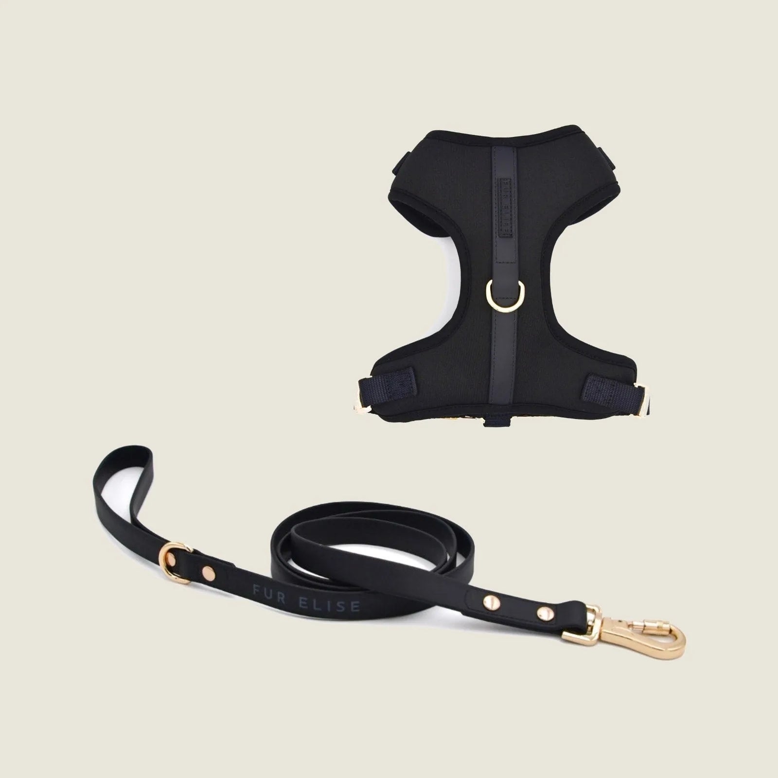 Elise Harness & Leash Set in sleek black, featuring soft neoprene, gold accents, and durable design for walking dogs.