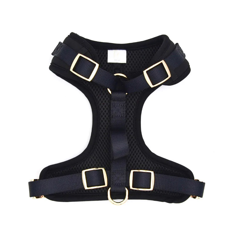 Elise Harness in Noir features a sleek black neoprene design with adjustable straps and gold buckles for a secure fit.