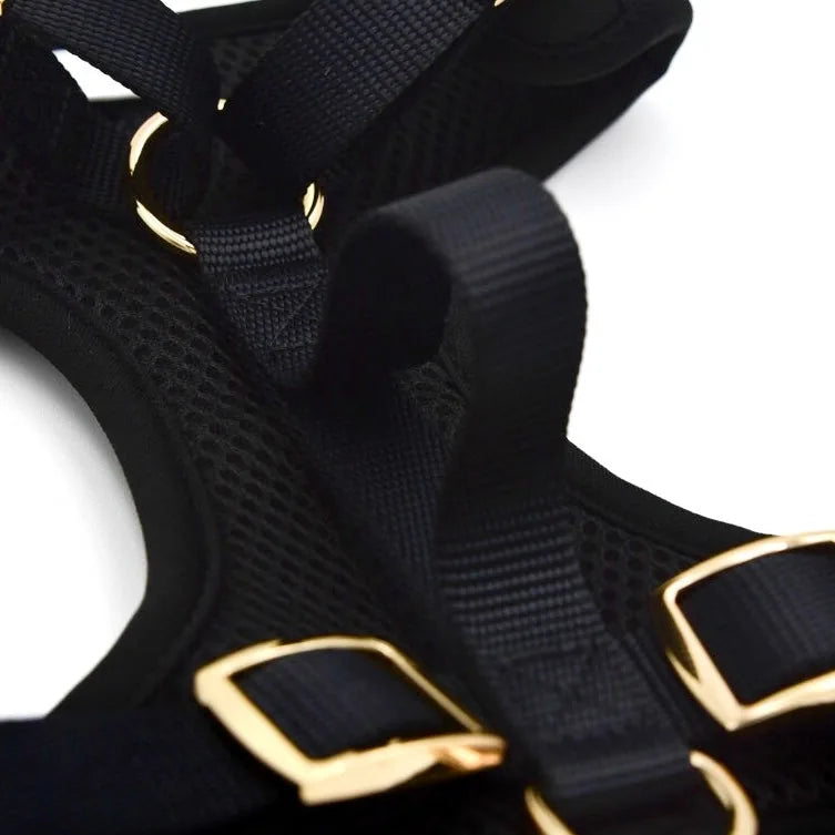 Black neoprene dog harness featuring breathable mesh lining and gold buckles for secure fitting and comfort.