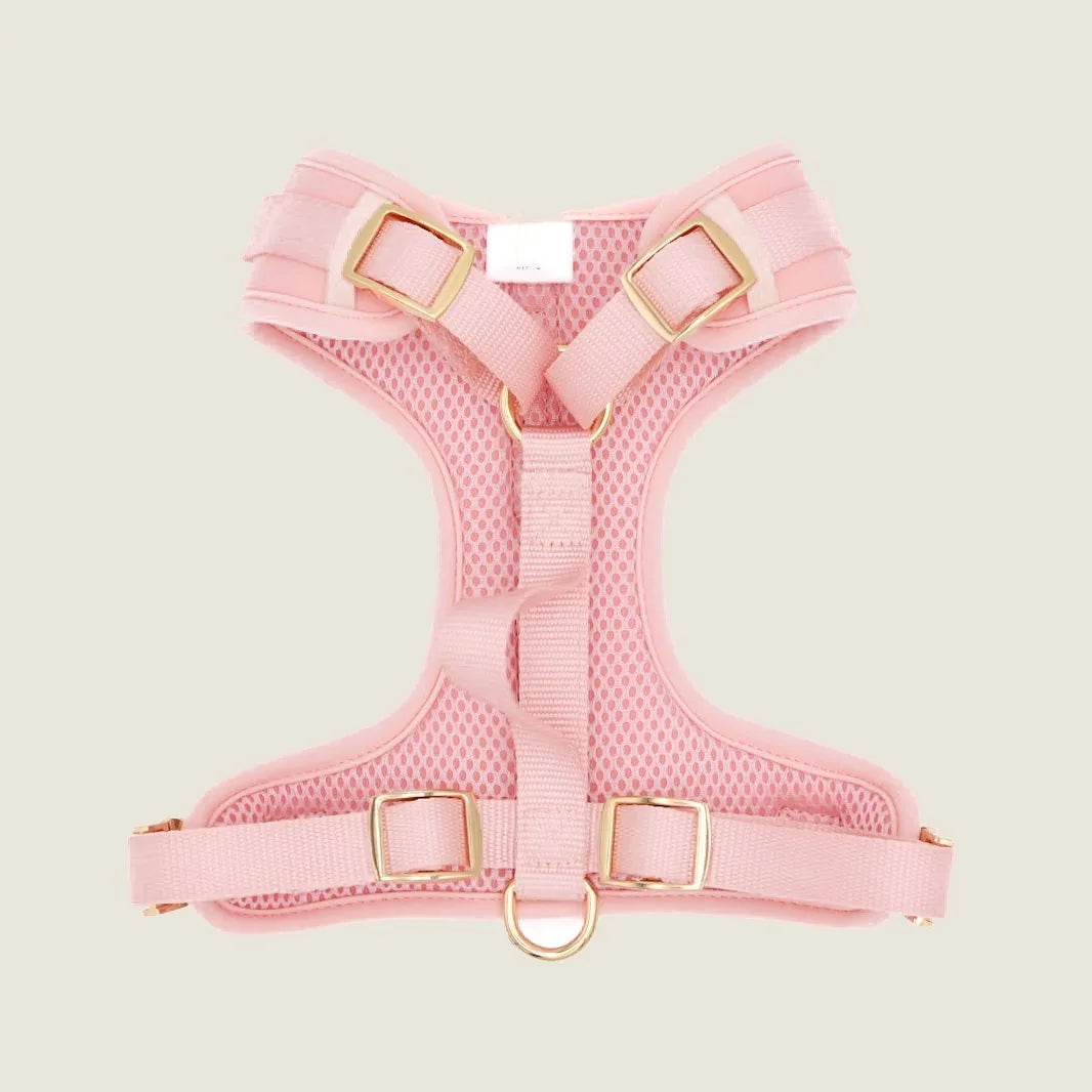Soft rose neoprene dog harness with breathable mesh lining and gold buckles, designed for comfort and control.