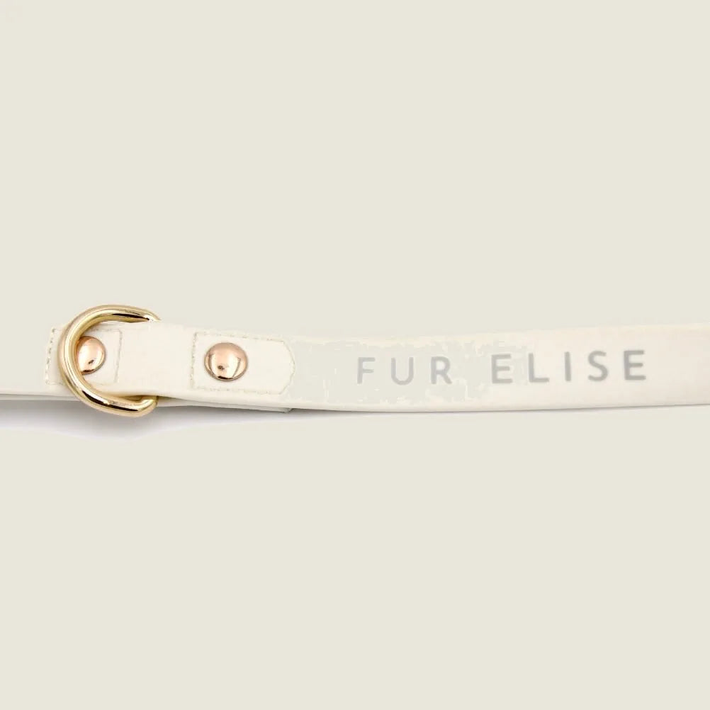 Elise Leash in Bone featuring “FUR ELISE” text and light gold hardware, suitable for stylish dog walks.
