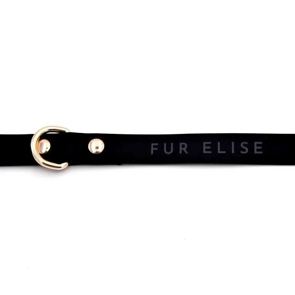 Elise Leash in Noir featuring a rubber-coated design with gold hardware and "FUR ELISE" branding.