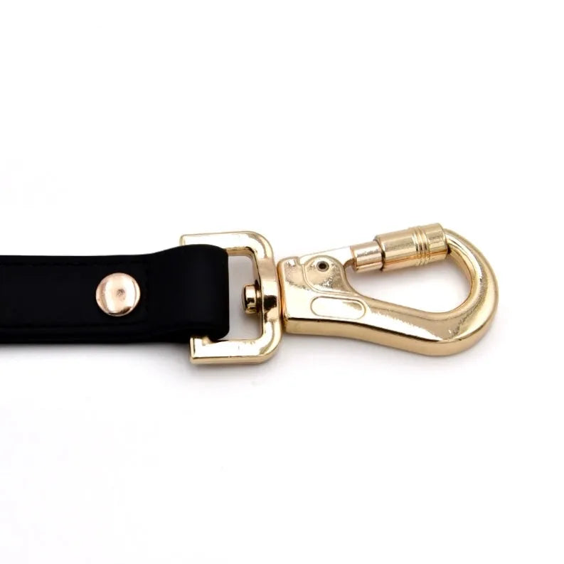 Elise Leash in Noir, featuring durable black rubber coating and light gold zinc alloy hardware for secure attachment.