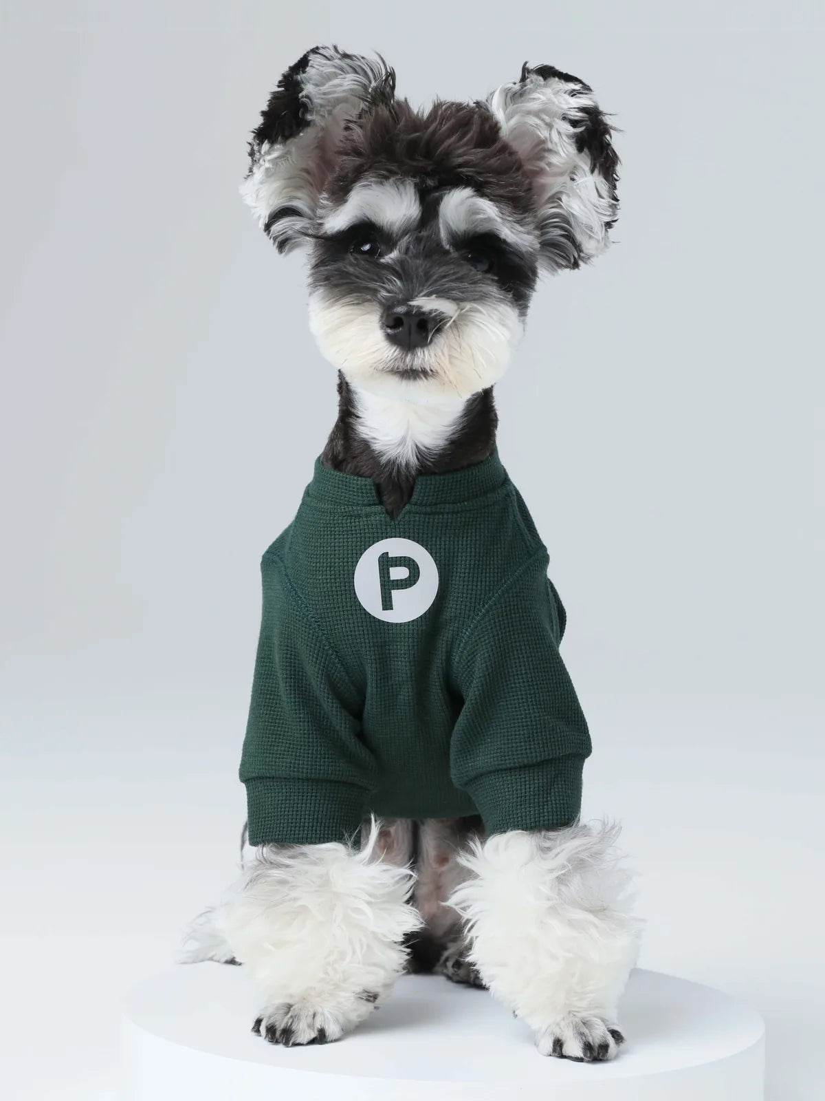 Green waffle plaid dog t-shirt with an embroidered patch, designed for comfort and visibility on walks.
