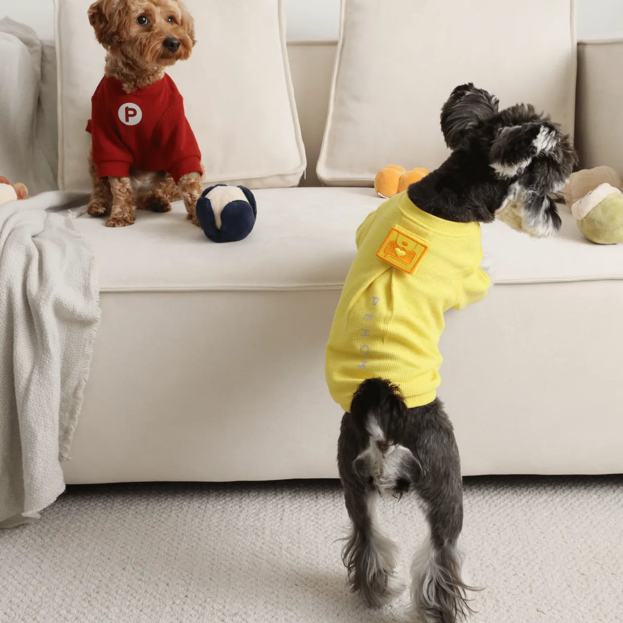 Yellow waffle plaid dog t-shirt with an embroidered patch, worn by a schnauzer on a couch with toys.