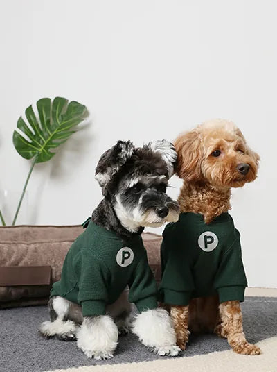 Two dogs wearing green waffle plaid t-shirts with embroidered patches, posing in a stylish indoor setting.