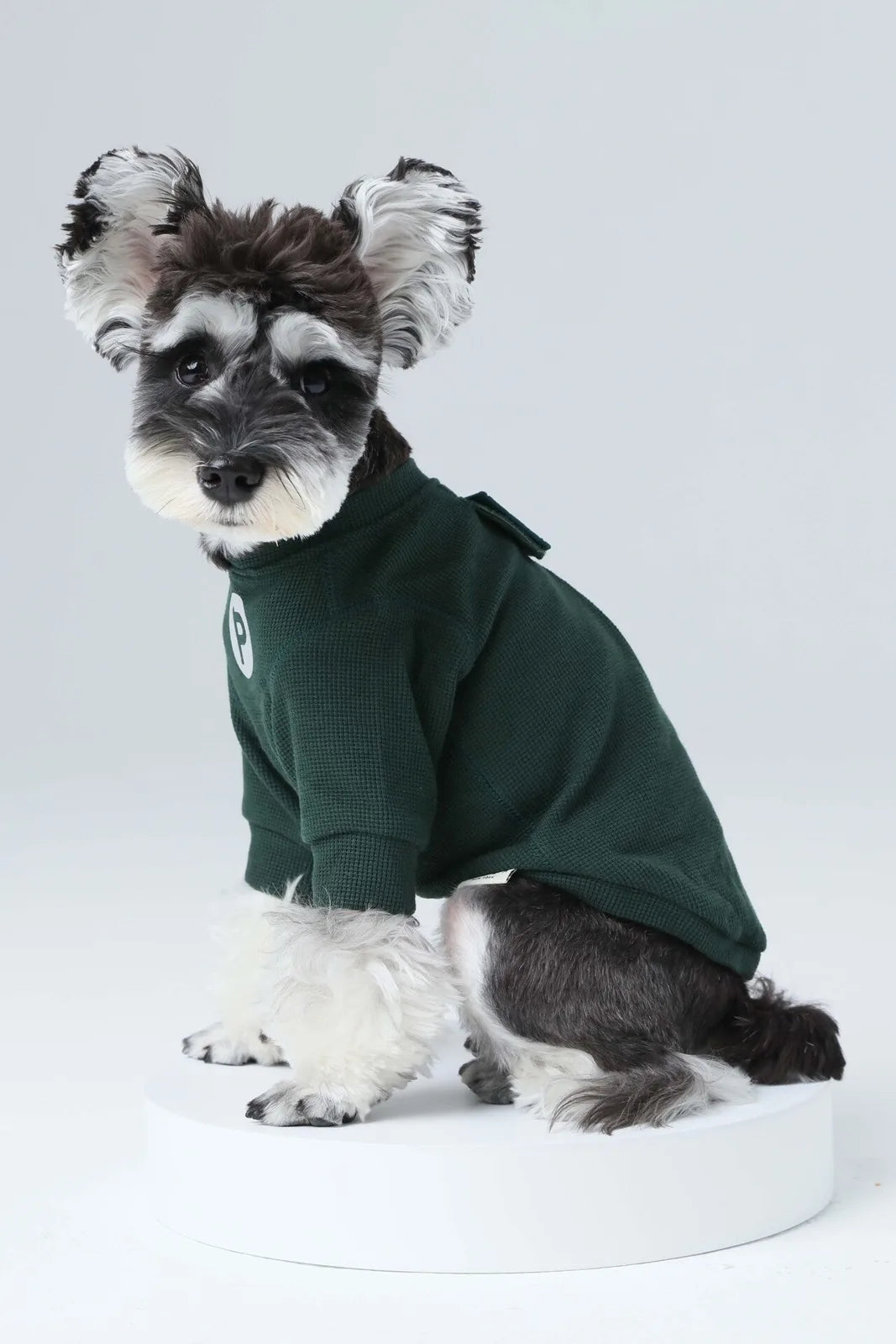 Green waffle plaid dog t-shirt with embroidered patch, designed for comfort and visibility, worn by a small dog.