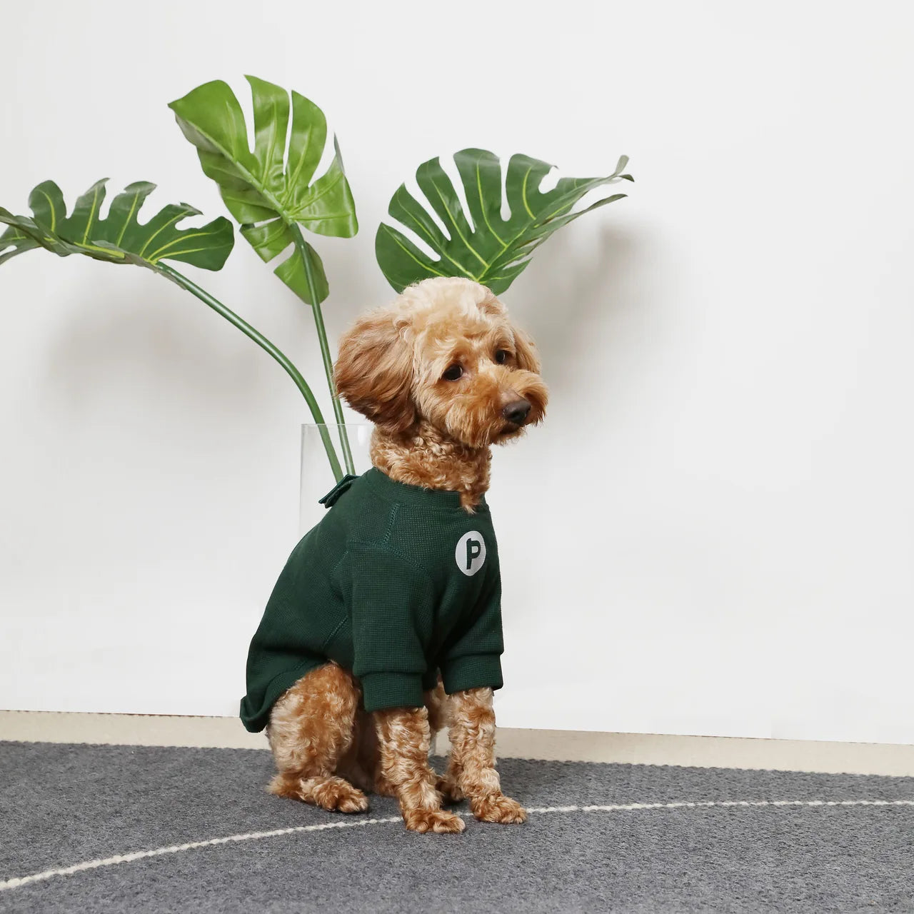 Green waffle plaid dog t-shirt with embroidered patch, worn by a dog, against a white background with leafy decor.