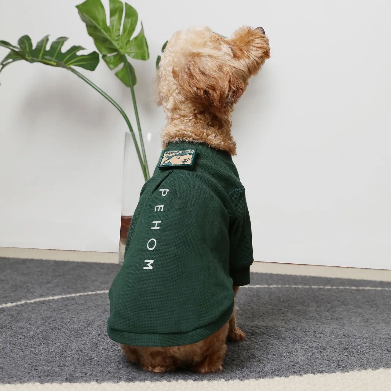 Green waffle plaid dog t-shirt with embroidered patch and reflective print, designed for comfort and visibility.