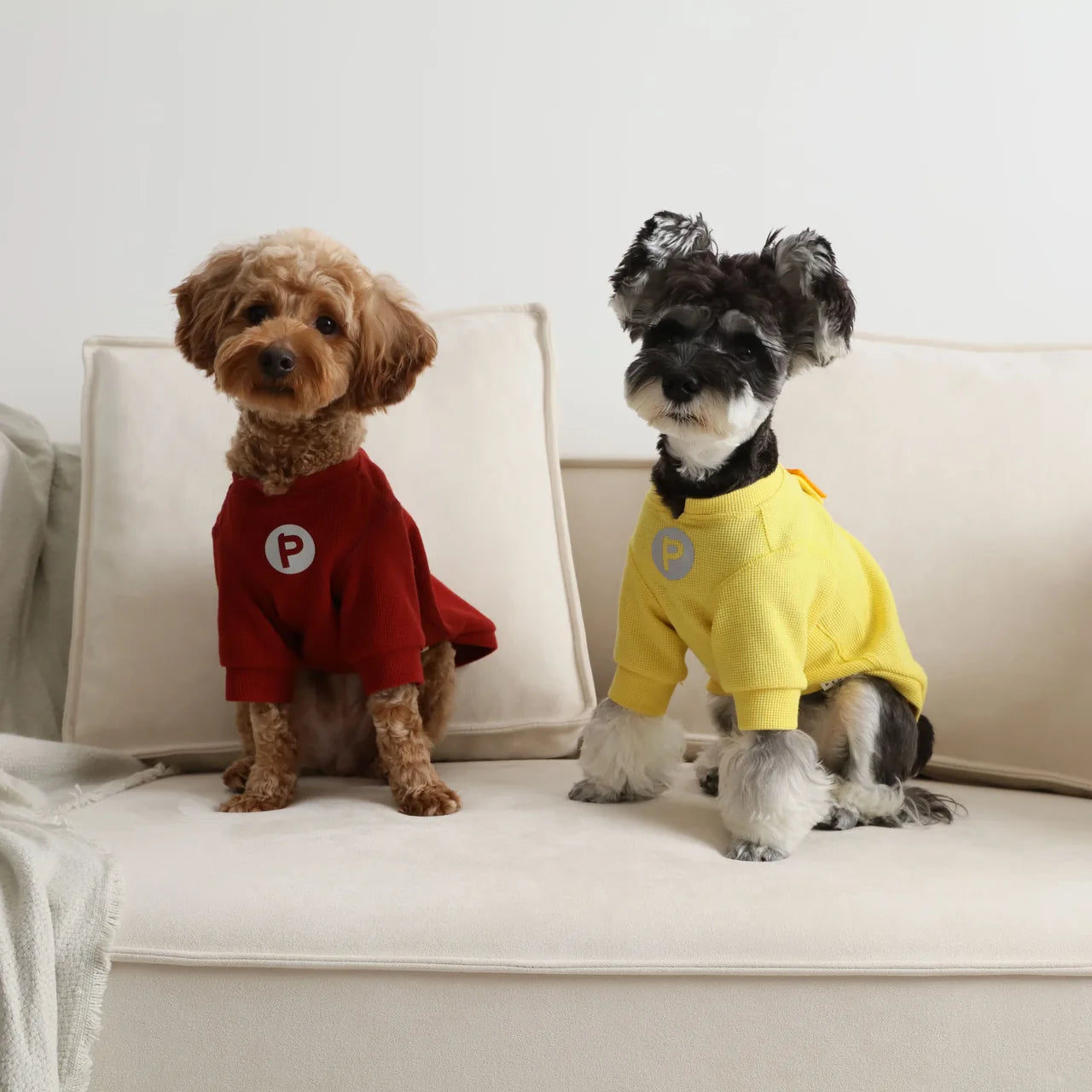 Green waffle plaid dog t-shirt with embroidered patch, featured on a cozy couch with two dogs.