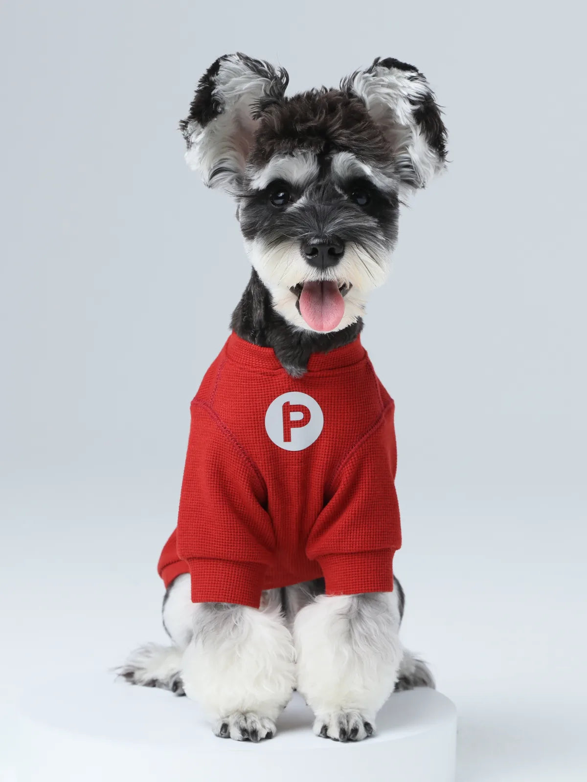Red waffle plaid t-shirt on a dog, featuring an embroidered patch and reflective print for visibility.