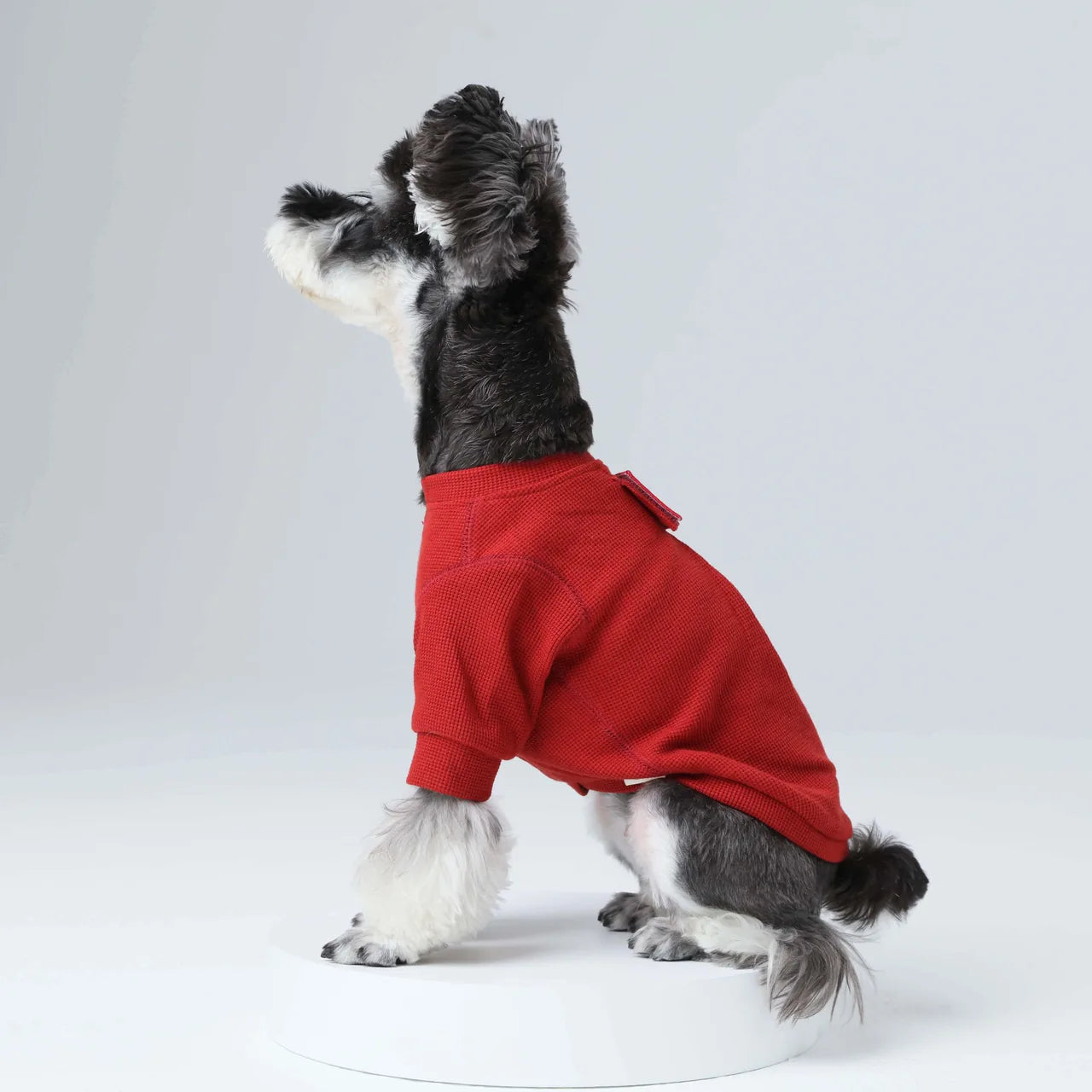 Red waffle plaid dog t-shirt with reflective print, showcasing a unique embroidery patch, styled on a small dog.