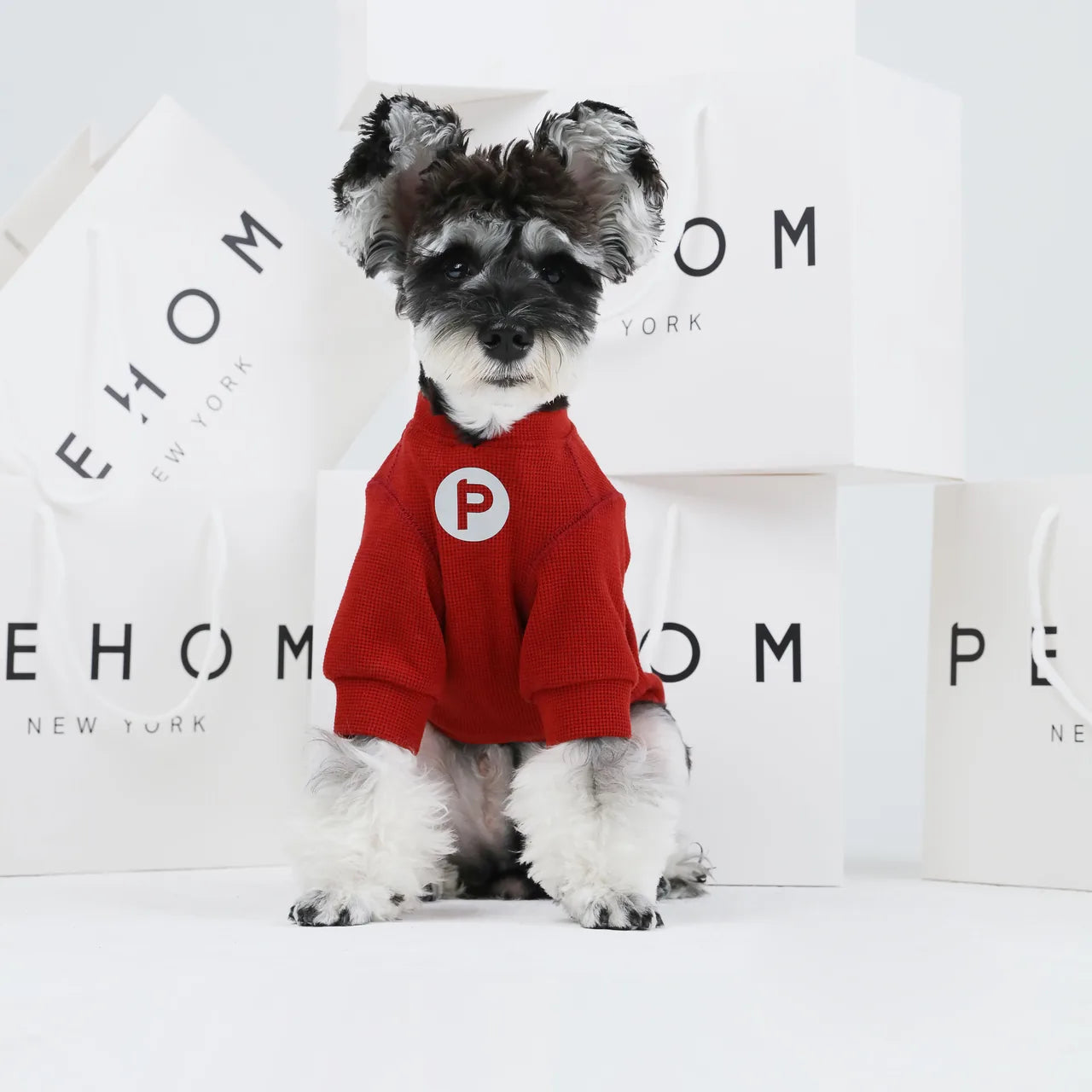 Red waffle plaid t-shirt on a dog, featuring an embroidered patch, set against white shopping bags.