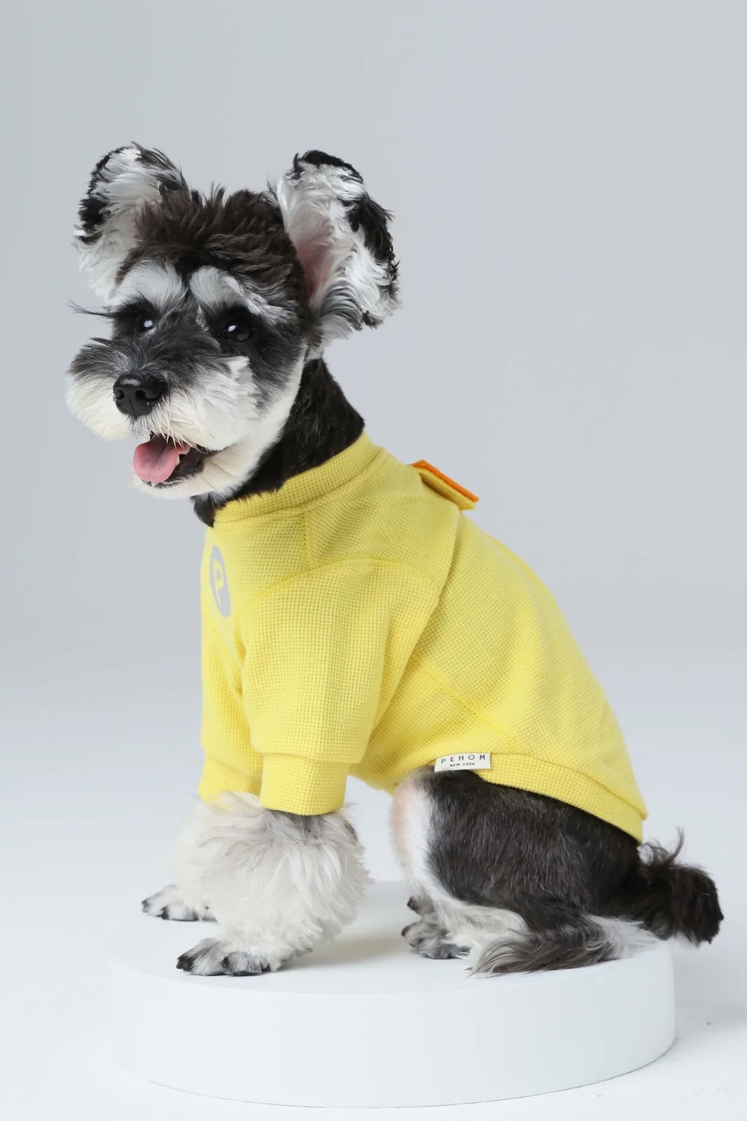 Yellow waffle plaid dog t-shirt with embroidered patch, worn by a happy dog sitting on a pedestal.
