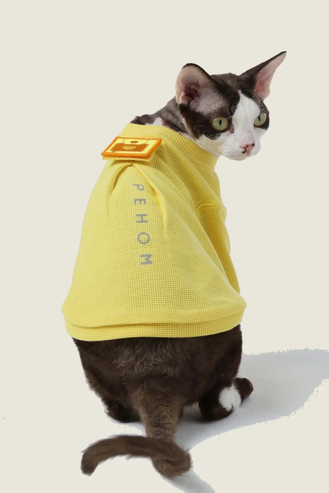 Yellow waffle plaid dog t-shirt with embroidered detail and reflective print, modeled by a brown and white dog.