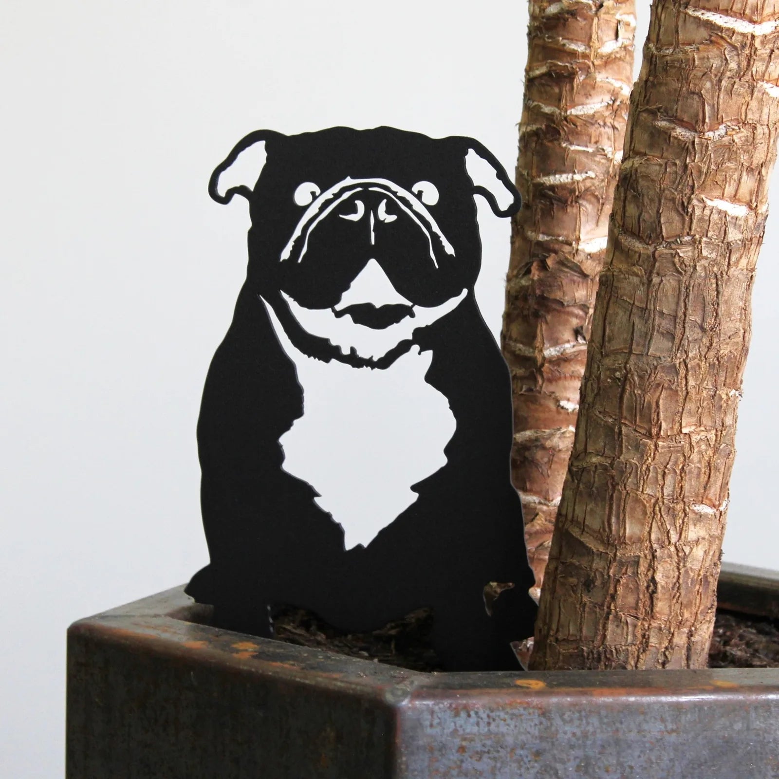 Black metal silhouette of an English Bulldog, showcasing details like floppy ears and a white chest, set against a plant pot.