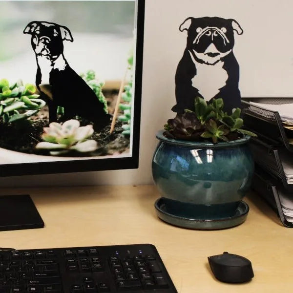 English Bulldog metal silhouette in black, displayed next to a succulent plant in a blue pot on a desk.